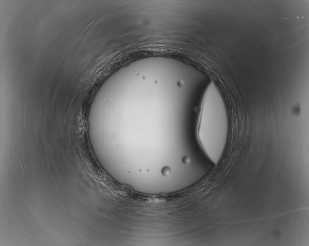 X0000116130609200912141111