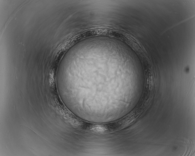 X0000116130610200912141111