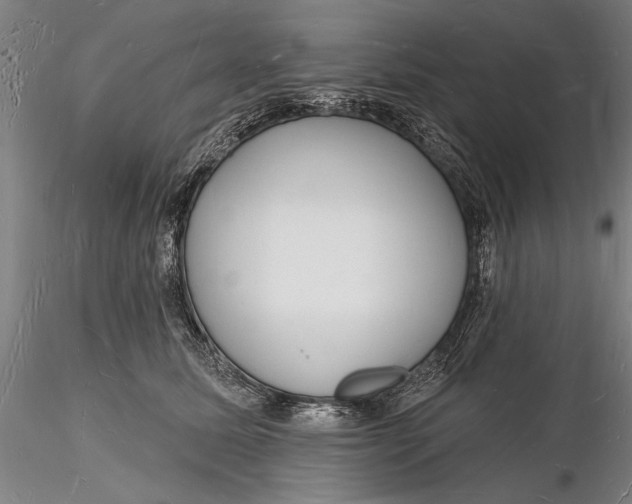 X0000116130611200912141111