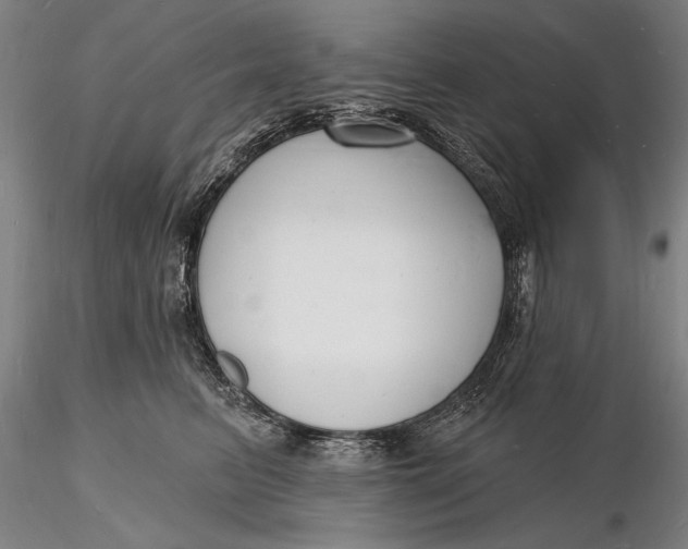 X0000116130615200912141111