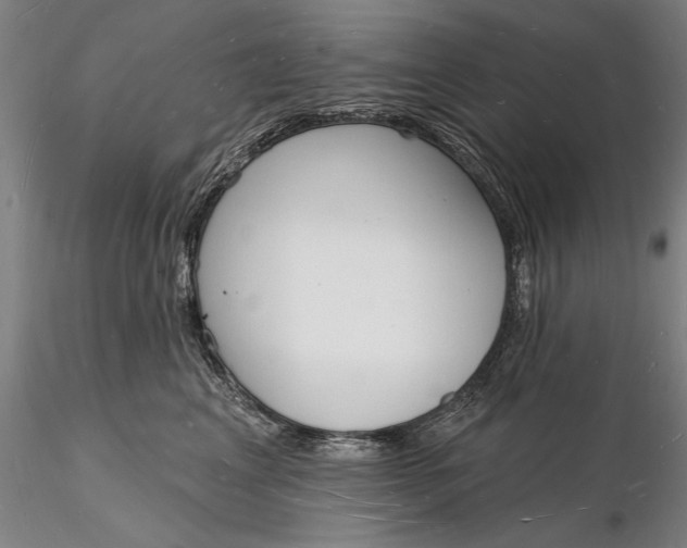 X0000116130617200912141111