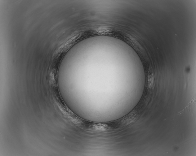 X0000116130618200912141111