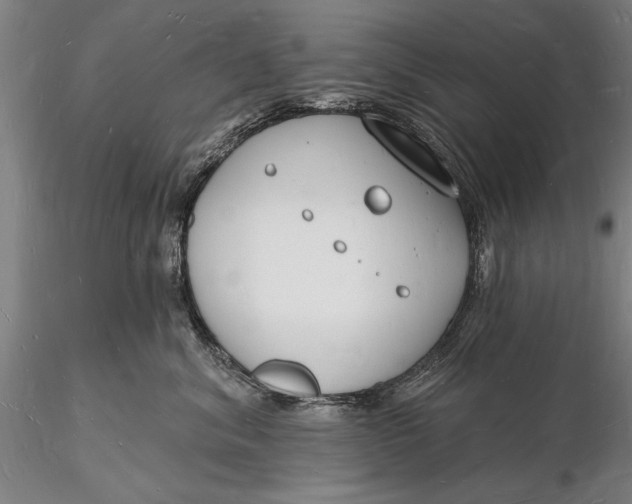 X0000116130620200912141111