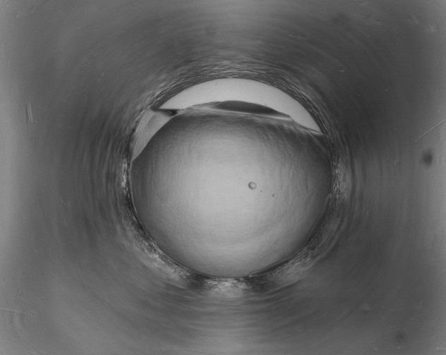 X0000116130621200912141111