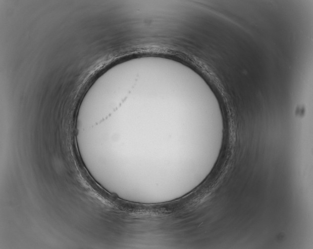 X0000116130625200912141110