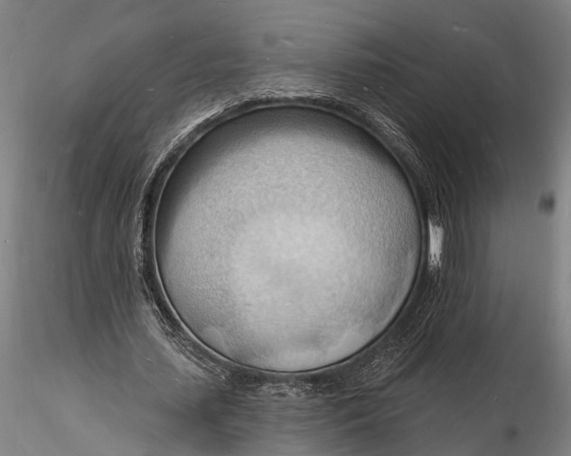 X0000116130627200912141110