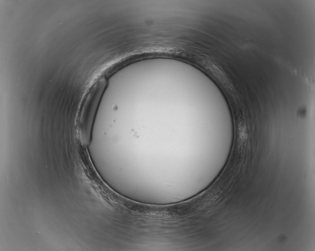 X0000116130628200912141110