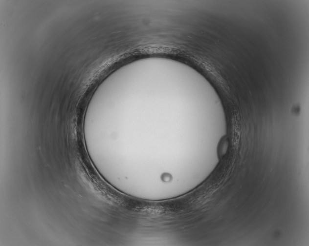 X0000116130631200912141110