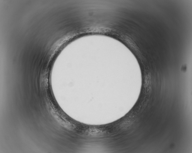 X0000116130632200912141110