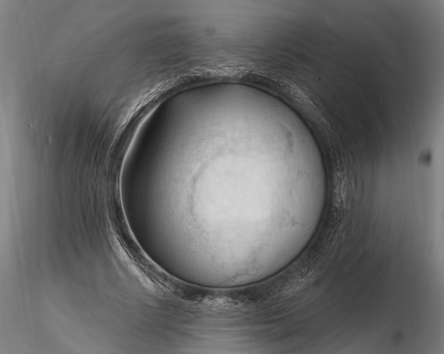 X0000116130634200912141110