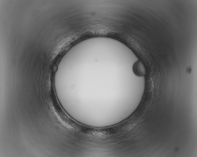 X0000116130638200912141110