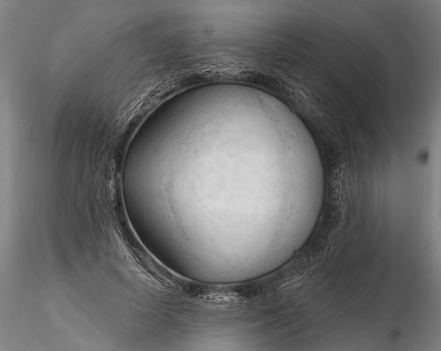 X0000116130642200912141110
