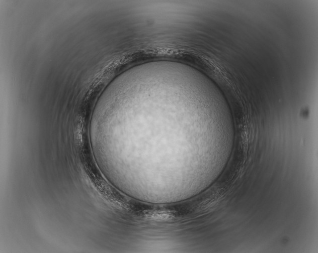 X0000116130643200912141110