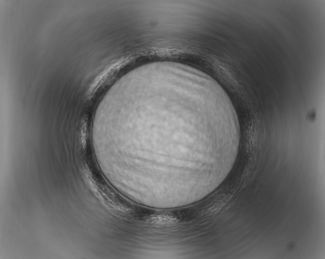 X0000116130644200912141110