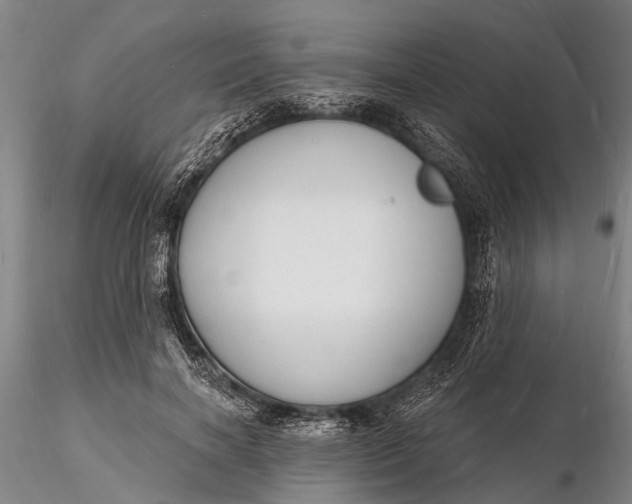 X0000116130646200912141110