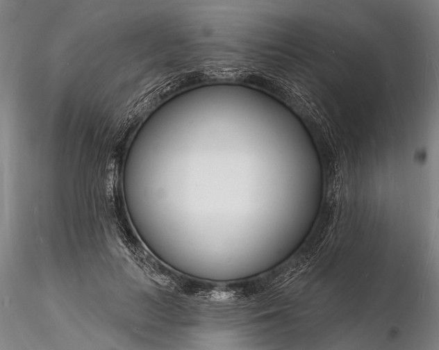 X0000116130647200912141110