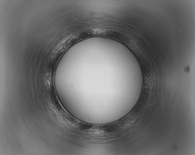 X0000116130648200912141110