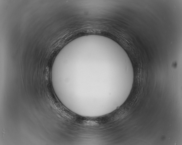 X0000116130649200912141110