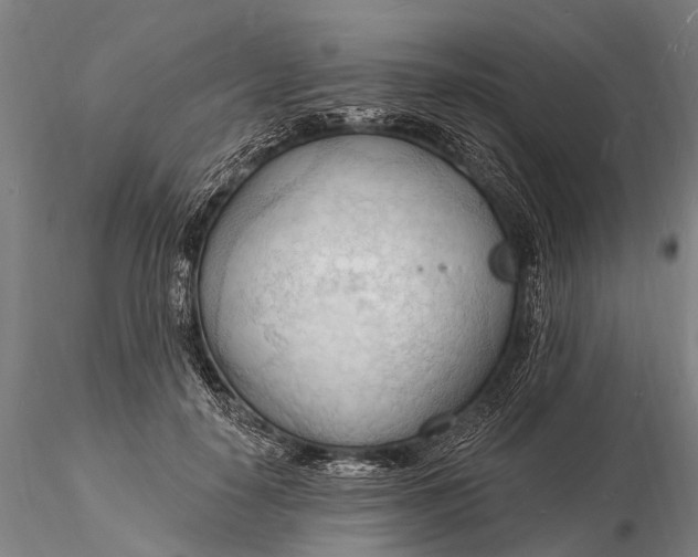 X0000116130650200912141110