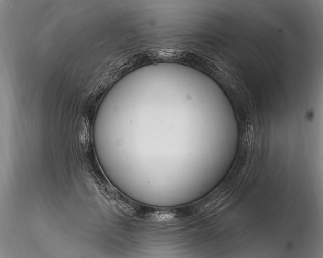 X0000116130651200912141110