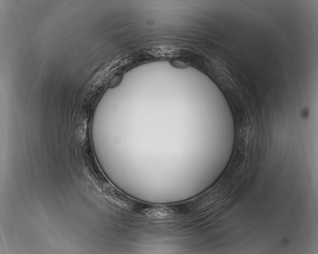 X0000116130652200912141110