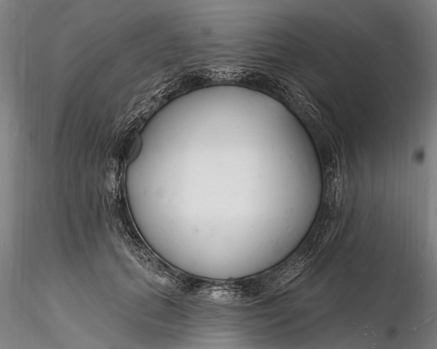 X0000116130655200912141110