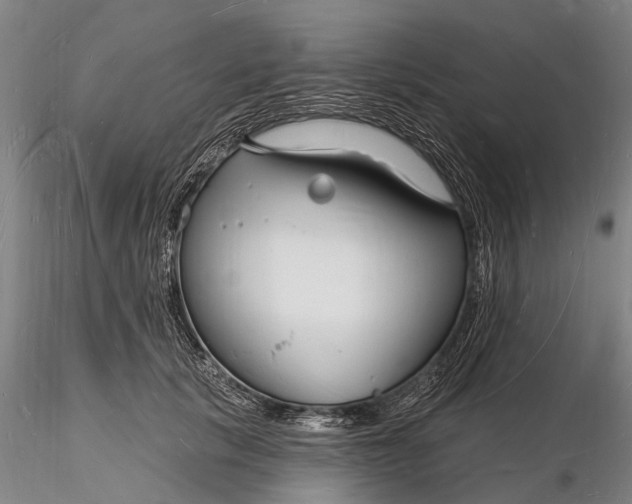 X0000116130657200912141110