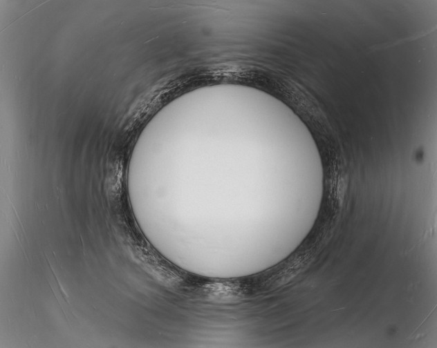 X0000116130660200912141111