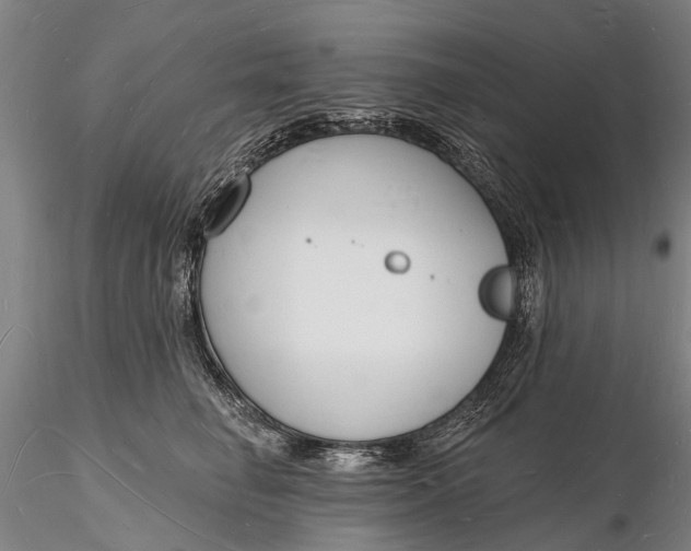 X0000116130662200912141111