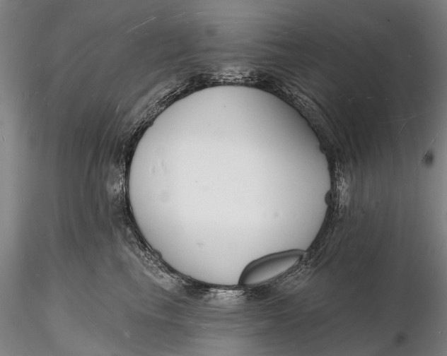 X0000116130665200912141111