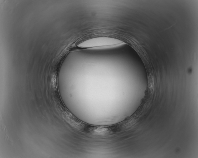 X0000116130669200912141111