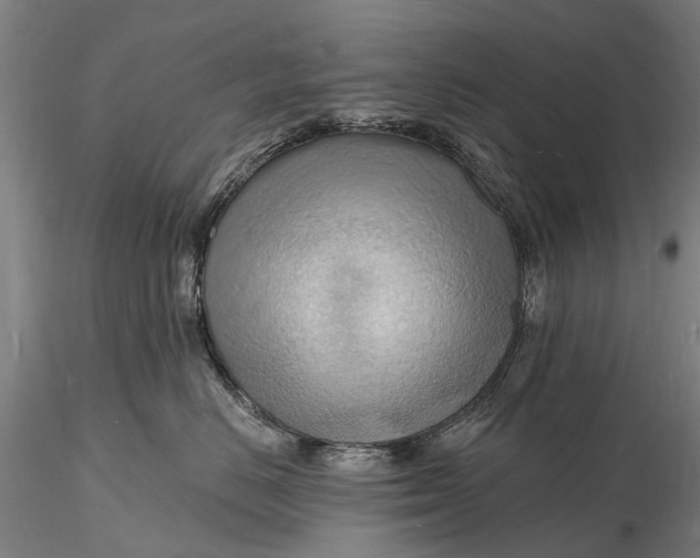 X0000116130670200912141111