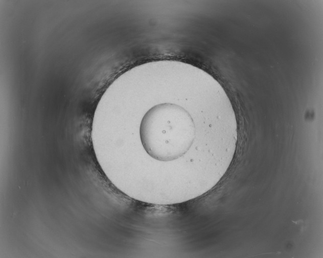X0000116130672200912141111