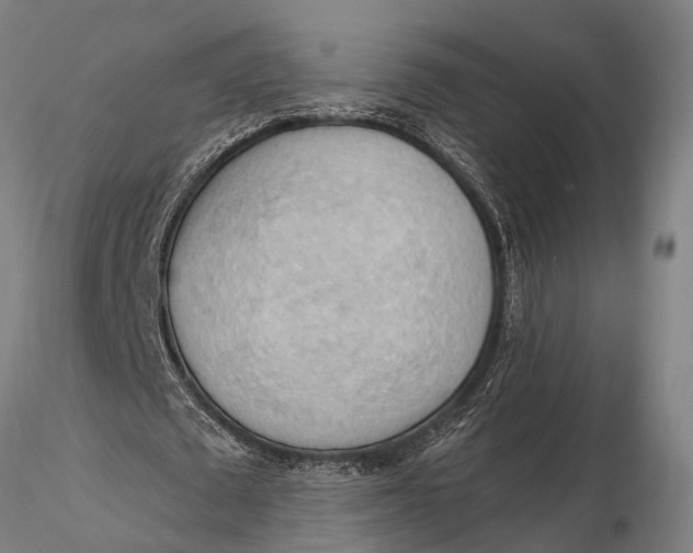 X0000116130673200912141110