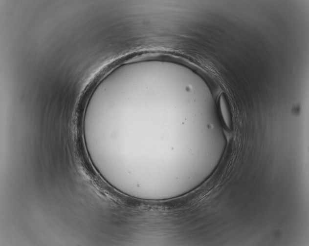 X0000116130676200912141110