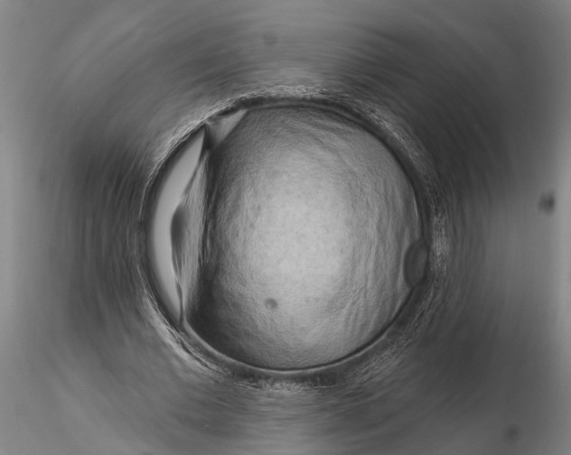 X0000116130677200912141110