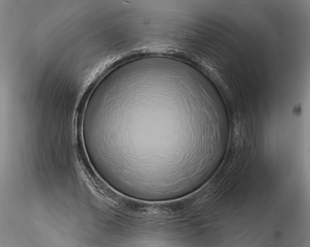 X0000116130678200912141110