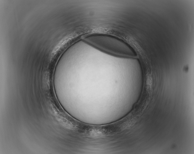 X0000116130684200912141110