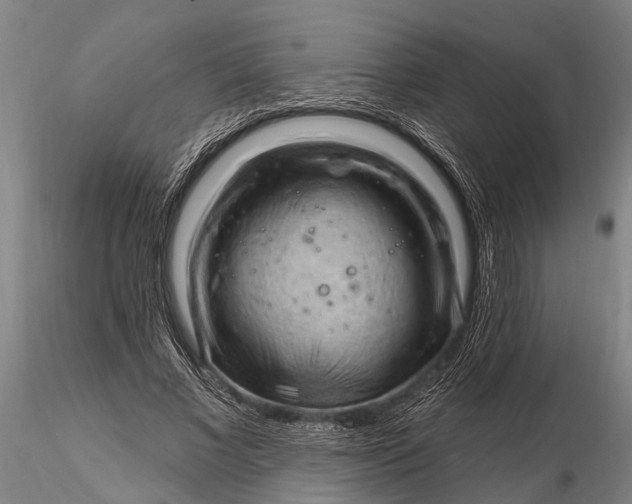 X0000116130685200912141110