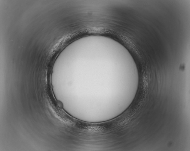 X0000116130686200912141110