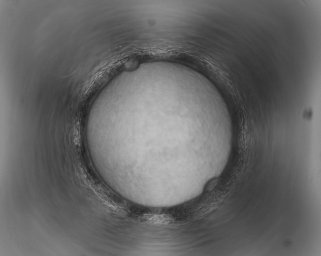 X0000116130689200912141110