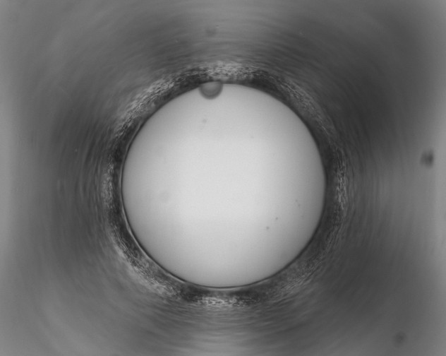 X0000116130690200912141110