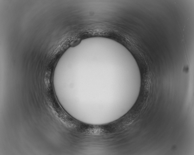 X0000116130695200912141110