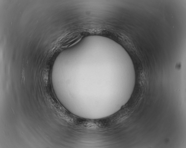X0000116130697200912141110