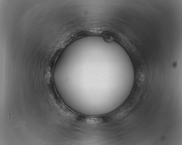 X0000116130707200912141110