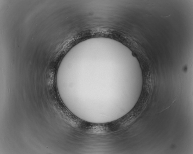 X0000116130708200912141110