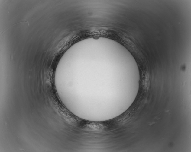 X0000116130712200912141110