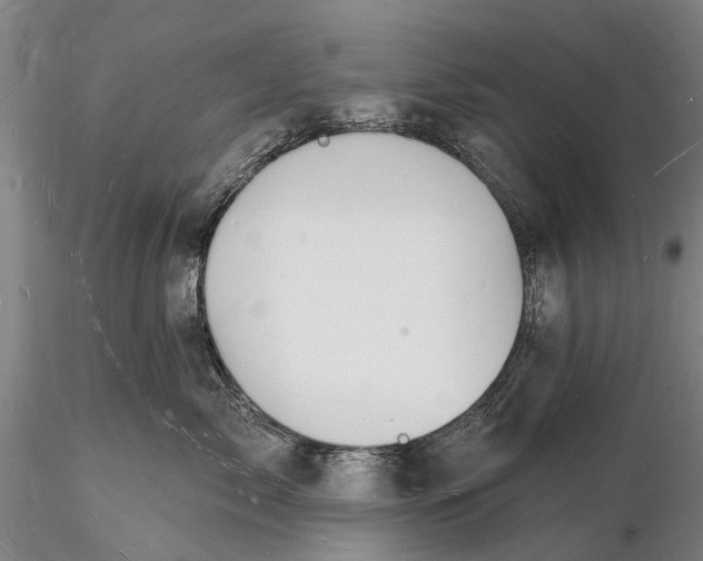 X0000116130717200912141109