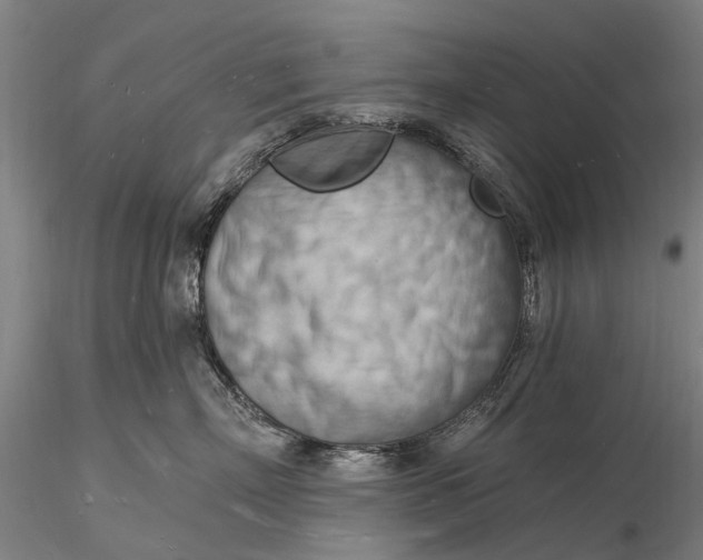 X0000116130718200912141109