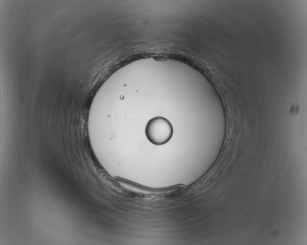 X0000116130720200912141109